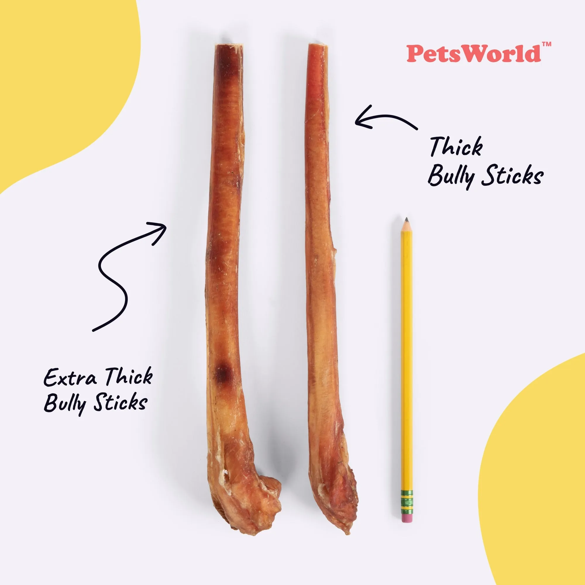 12-Inch Thick Bully Sticks for Medium - Large Dogs