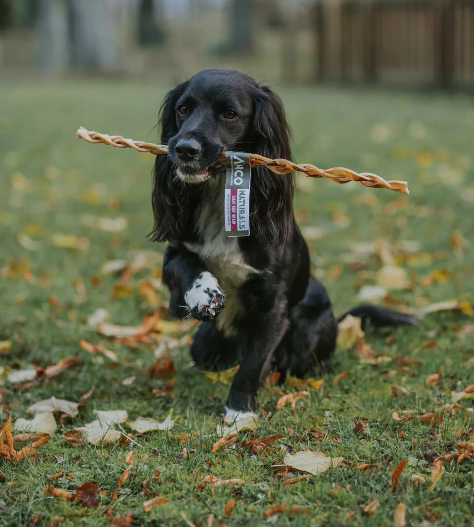 Anco Giant Beef Braid Chew