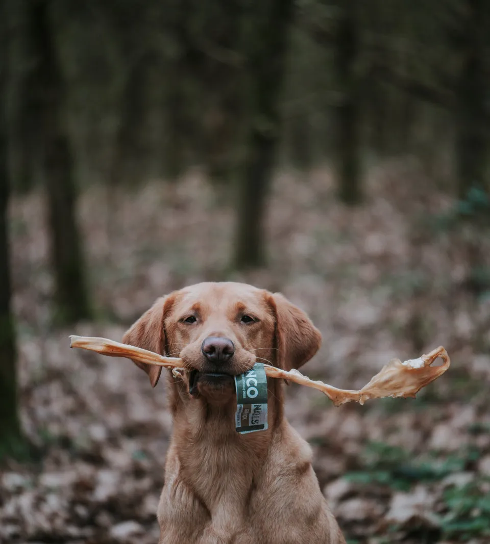 Anco Giant Goat Stick Dog Chew