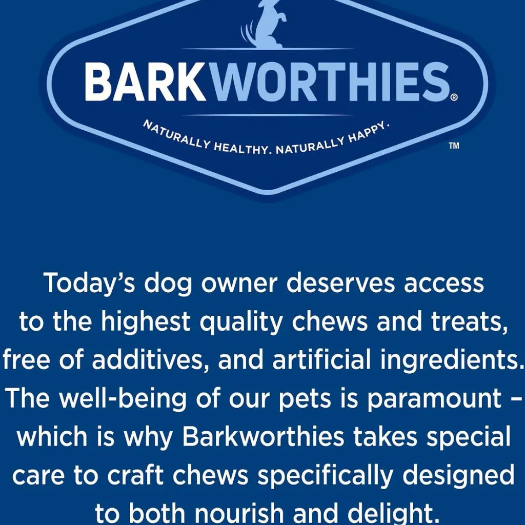 Barkworthies Collagen Plus Beef Sticks Wrapped with Real Cheese