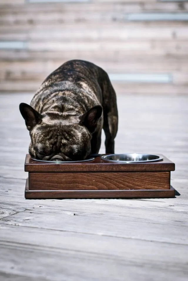 Bowl and Bone Chestnut Grande Dog Feeder