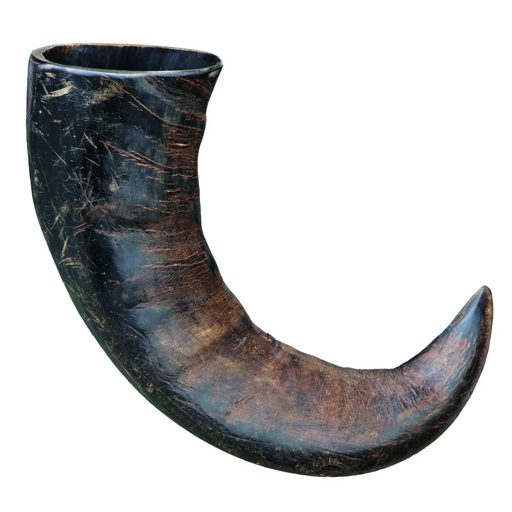 Brown's Natural Dog Chew | Large Buffalo Horns