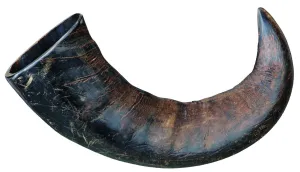 Brown's Natural Dog Chew | Large Buffalo Horns