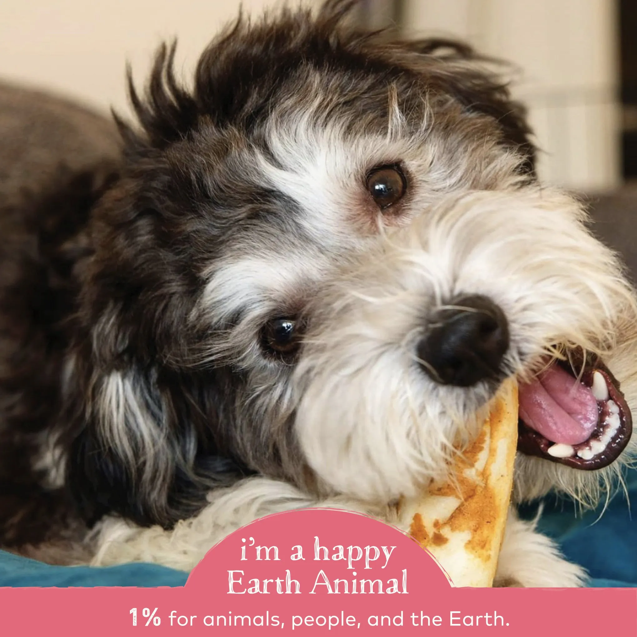 Earth Animal No Hide Salmon Chews for Dogs