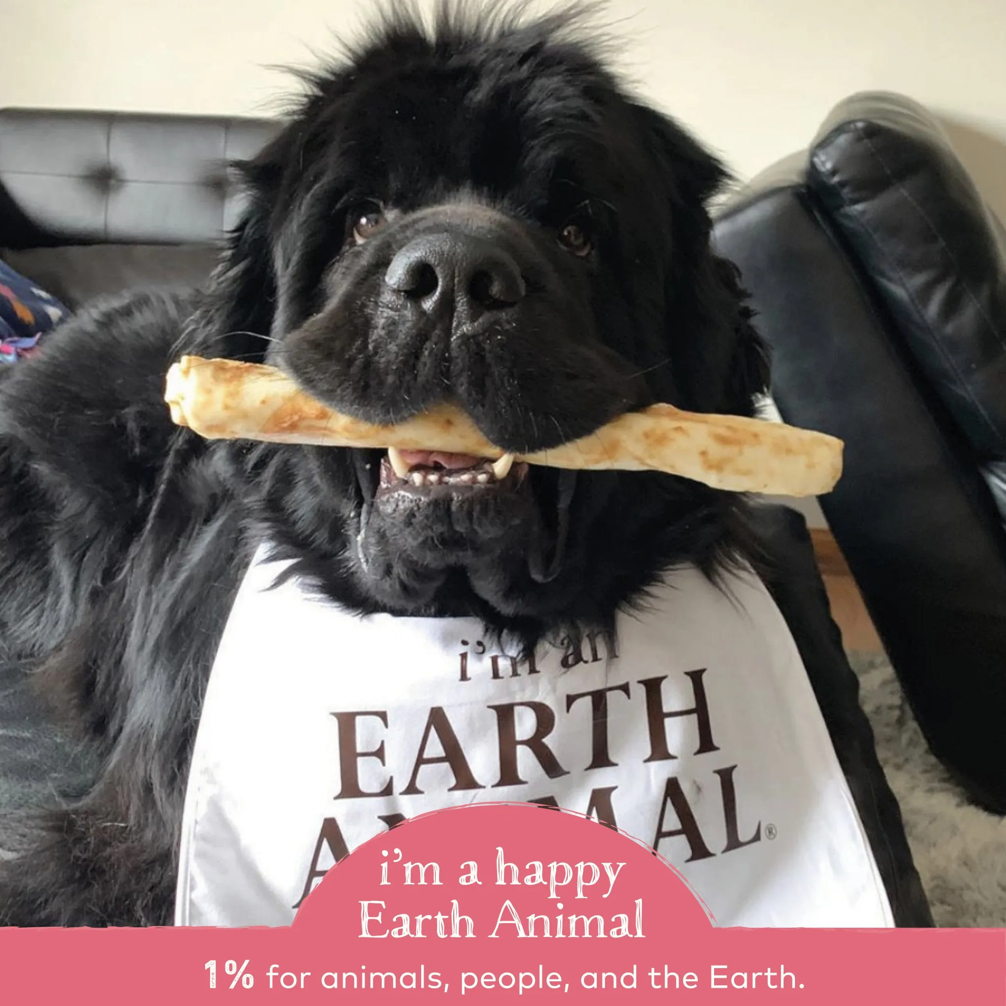 Earth Animal No Hide Salmon Chews for Dogs