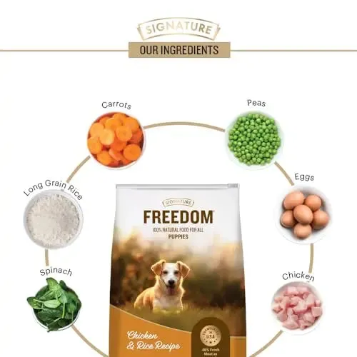 Freedom Chicken & Rice Puppy Dry Food - 1.2 kg