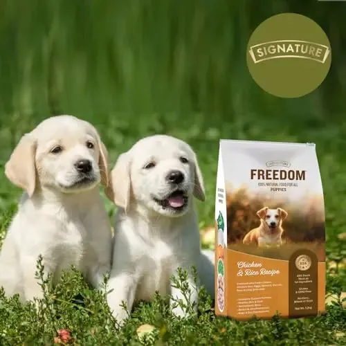 Freedom Chicken & Rice Puppy Dry Food - 1.2 kg