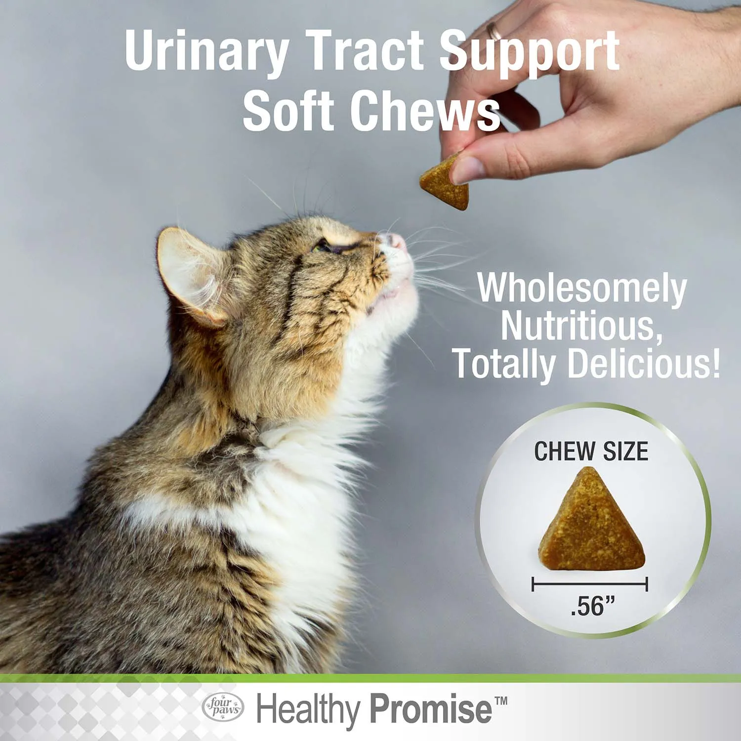 Healthy Promise Cat Urinary Tract Soft Chews, Chicken & Cheese, 110 ct