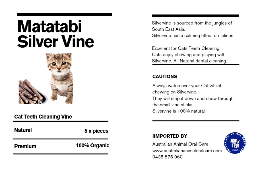 Matatabi Silvervine Dental Stick for Cats