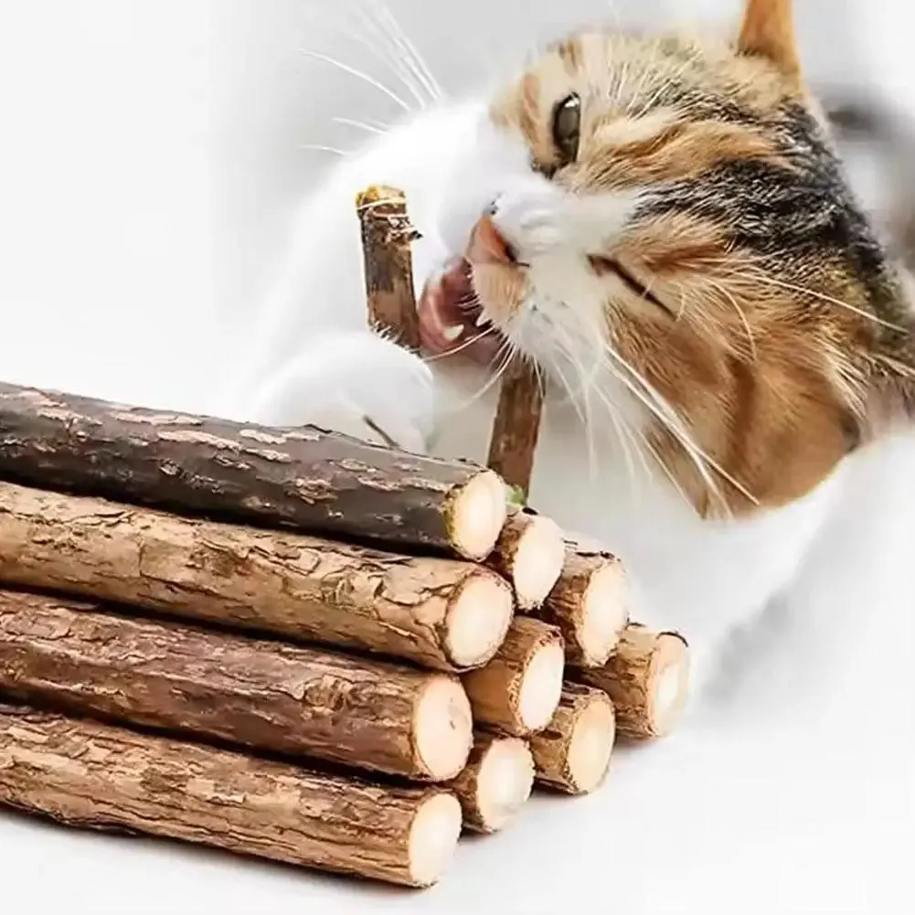 Natural Silvervine Cat Chew Sticks for Healthy Teeth & Fun