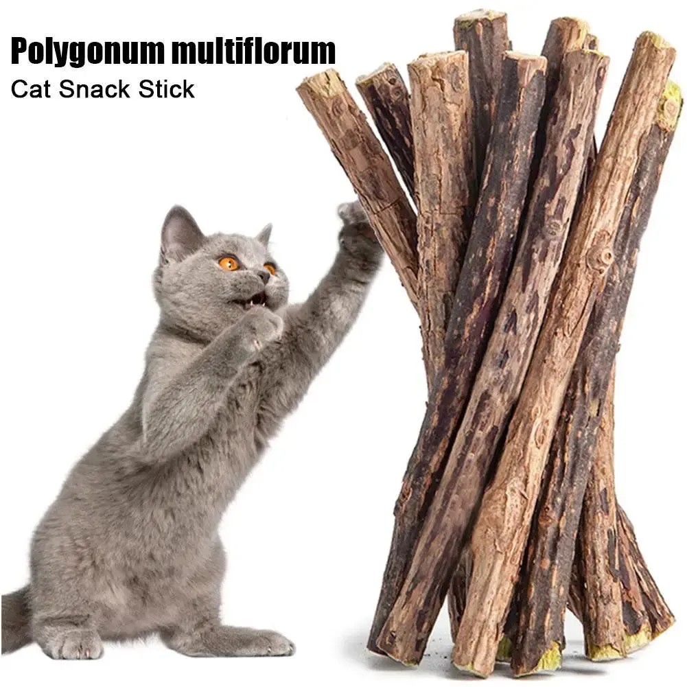 Natural Silvervine Cat Chew Sticks for Healthy Teeth & Fun