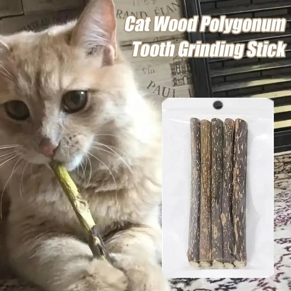 Natural Silvervine Cat Chew Sticks for Healthy Teeth & Fun