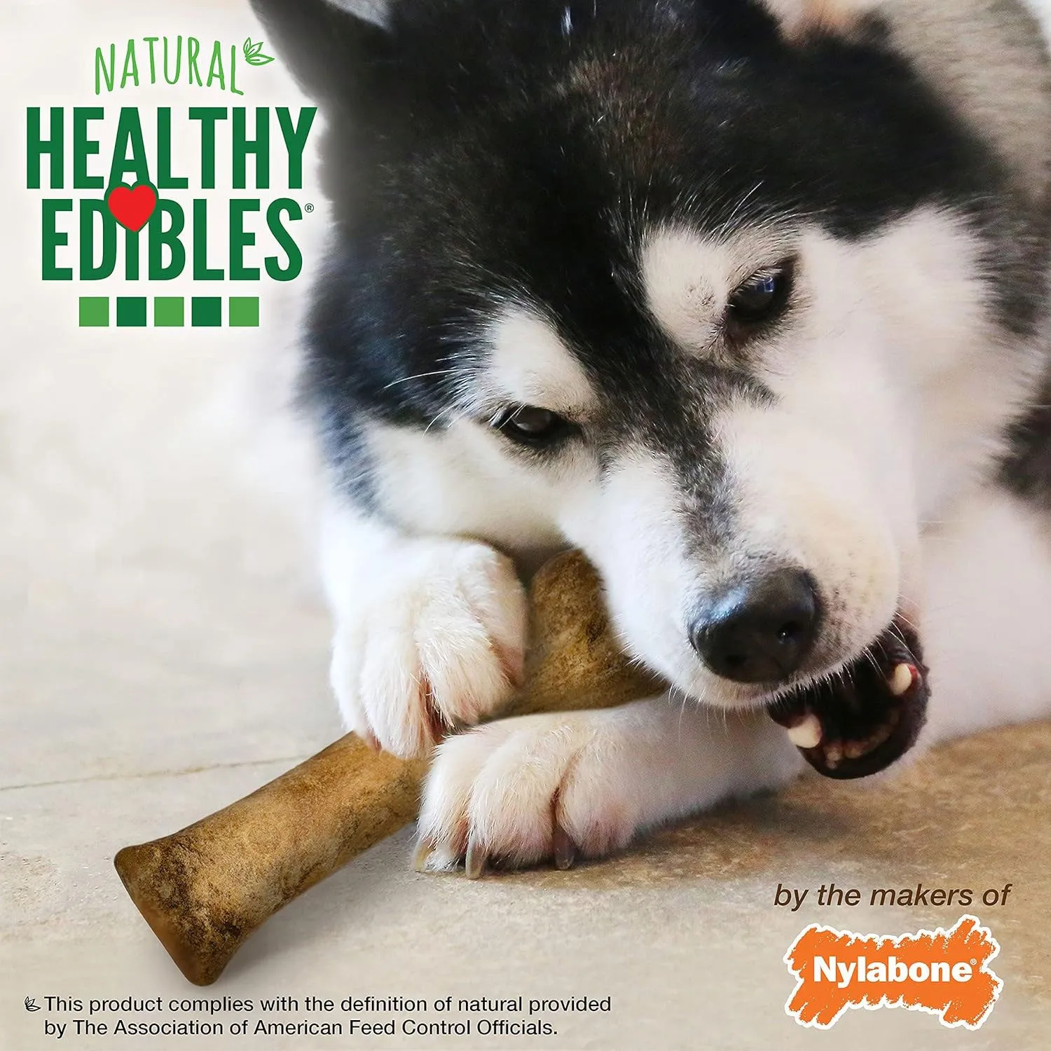 Nylabone Healthy Edibles Bacon