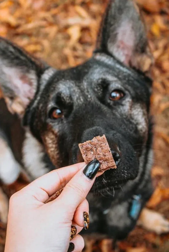 Operation Good Boy TRE: Freedom Treats Beef Jerky Dog Treats