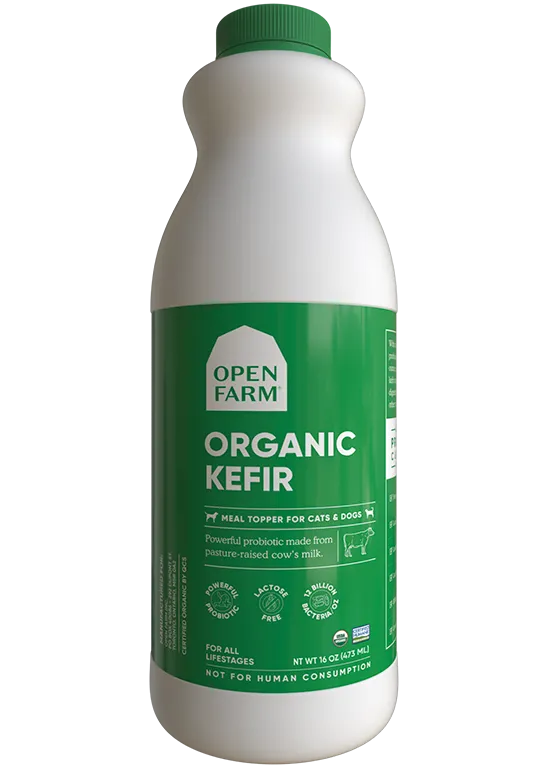 Organic Grass-Fed Cow Milk Kefir For Dogs