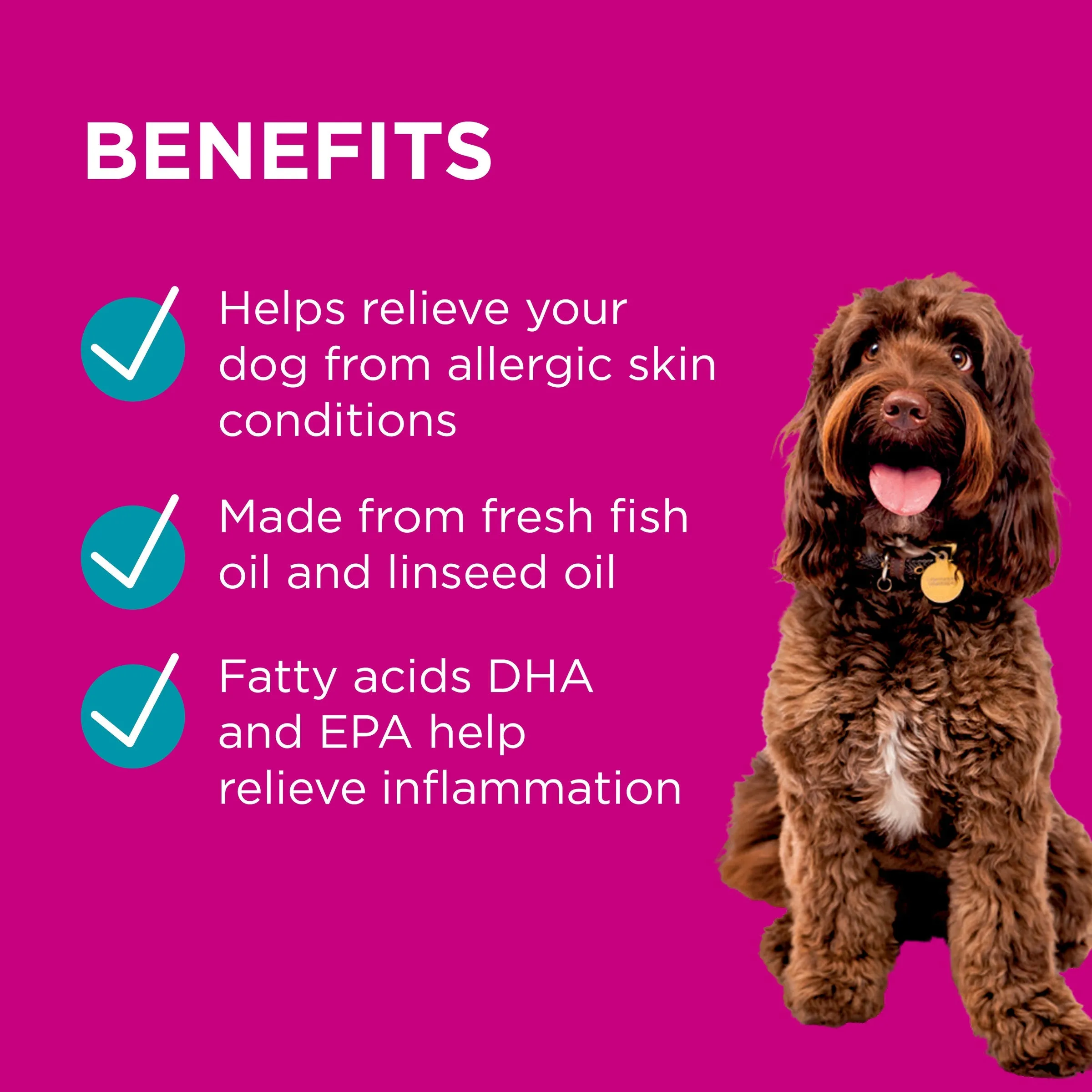 PAW by Blackmores Dermega Skin Support Fish Oil for Dogs (200ml)^^^