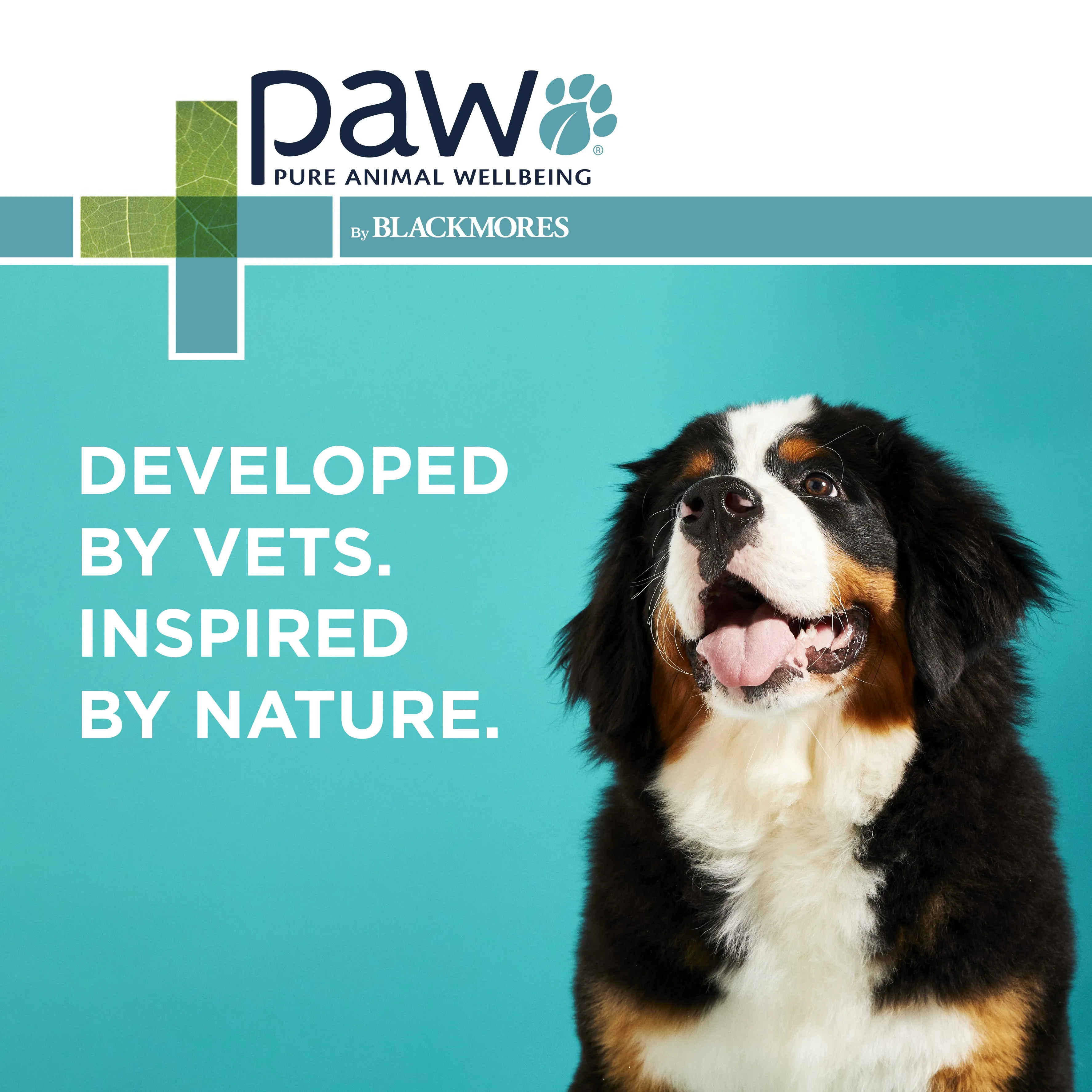 PAW Digest And Protect Puppy Care