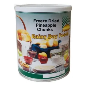 Rainy Day Foods Non-GMO Freeze-Dried Pineapple Pieces 3 oz #2.5 Can - 8 Servings