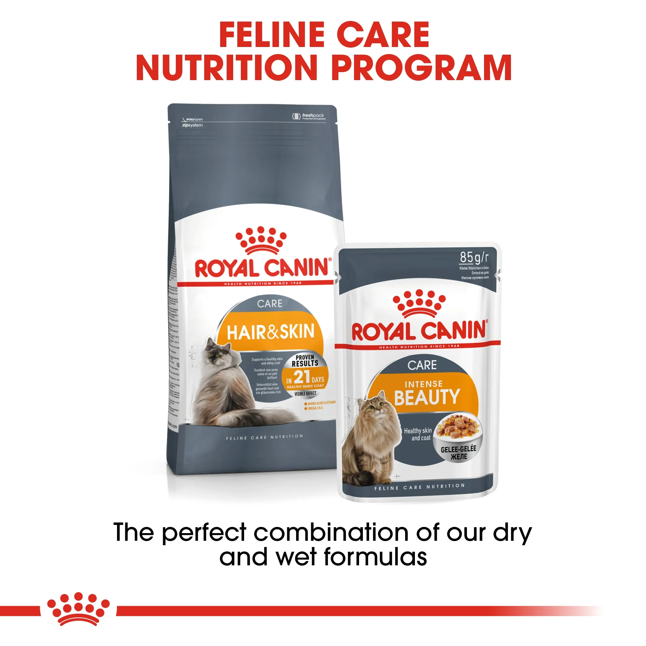 Royal Canin Hair & Skin Care (2 KG) Dry food for adult cats