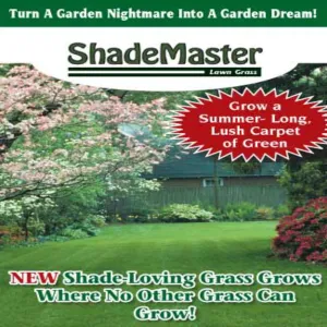 Shade Master Lawn Grass Seed, 1 lb.