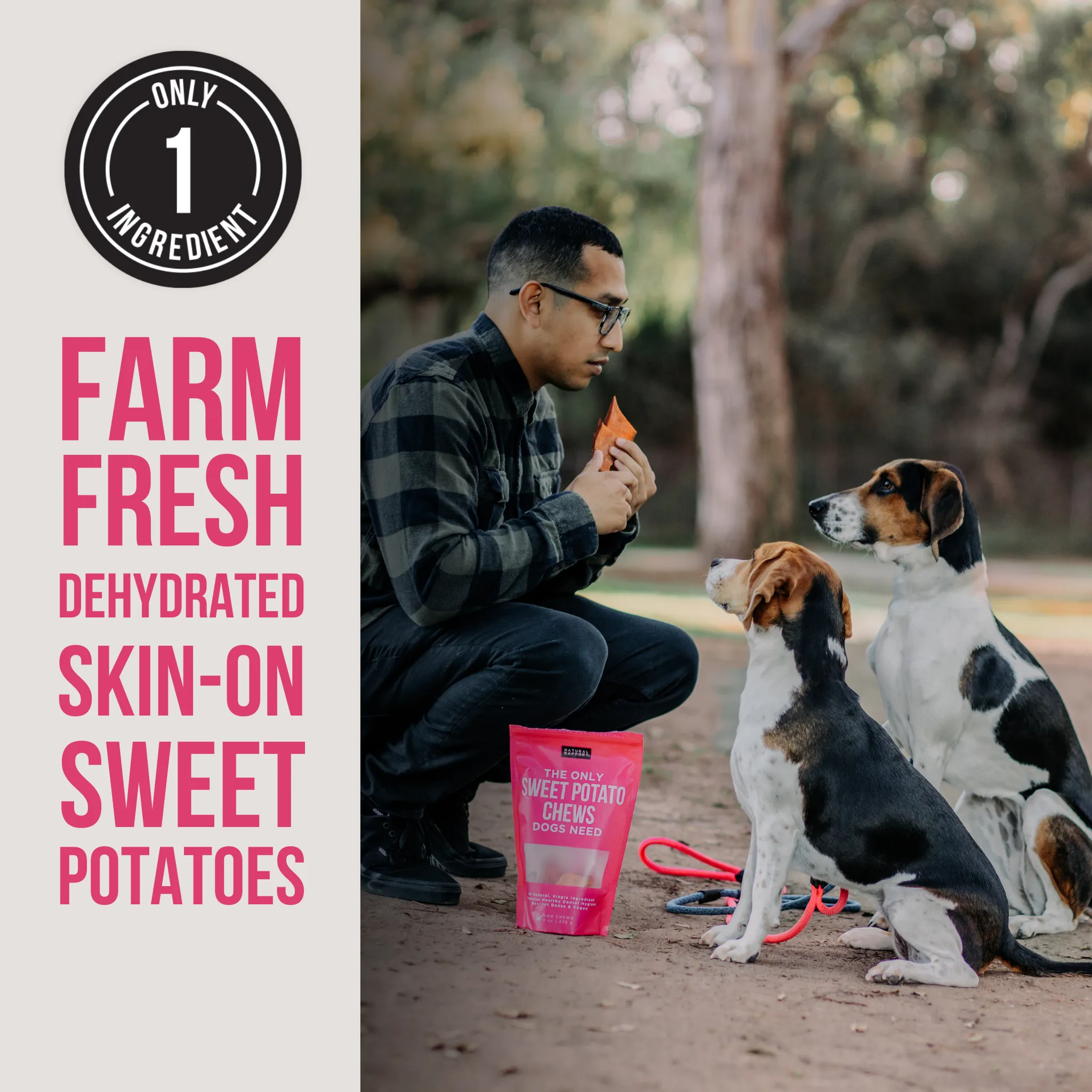 The Only Dehydrated Sweet Potato Chews Dogs Need - Wholesale