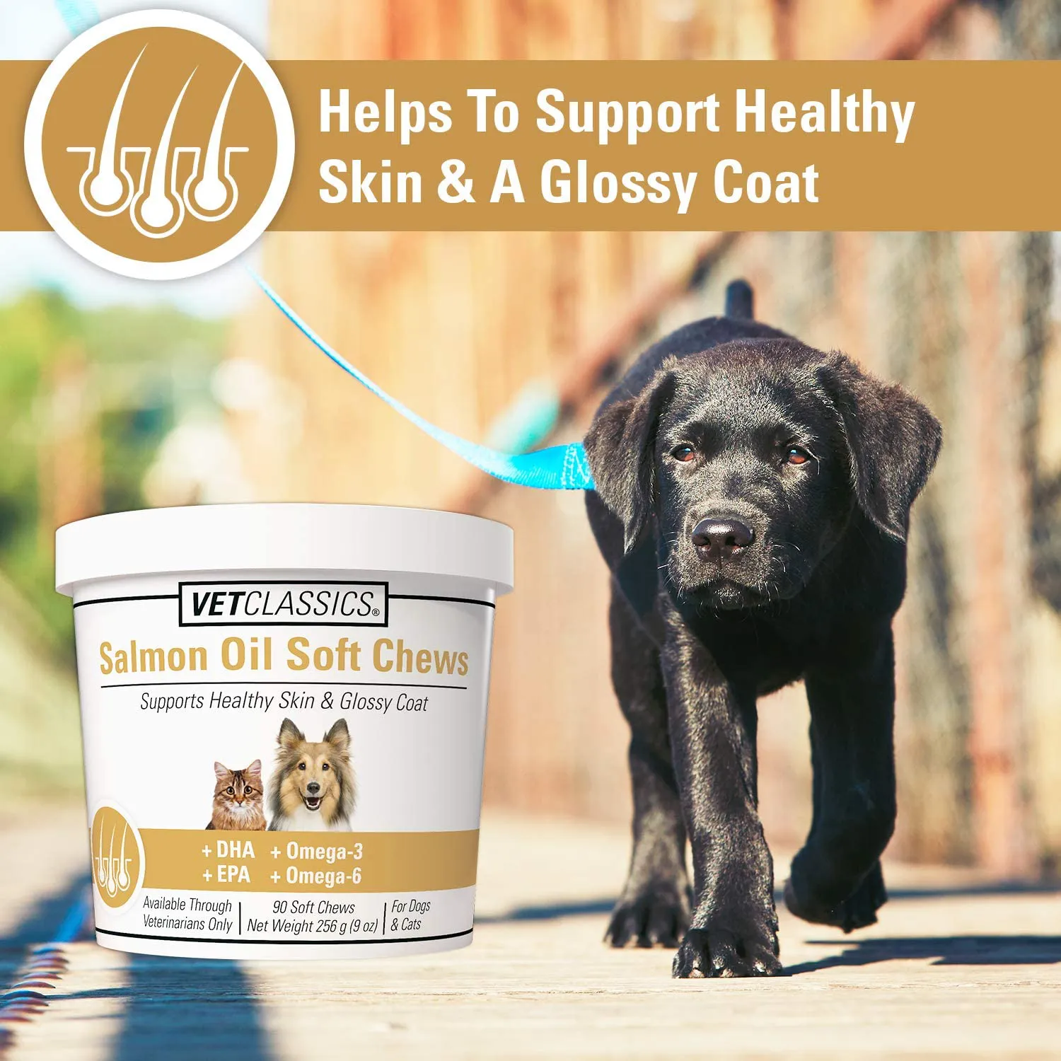 Vet Classics Salmon Oil Pet Supplement for Healthy Skin, Glossy Coats – Dog Coat Supplement, Cat Skin Supplement – Includes Omega-3, 6, 9, Source of DHA, EPA – Soft Chews 90 Ct.